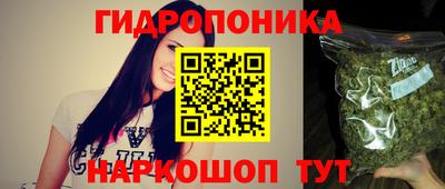 стаф Тверь