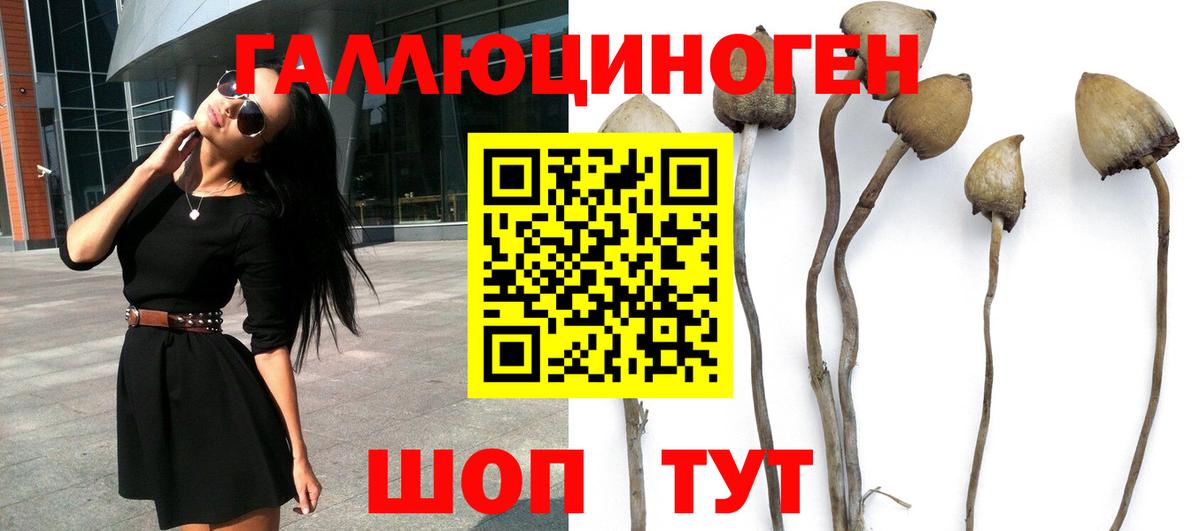 Галлюциногенные грибы MAGIC MUSHROOMS Обь