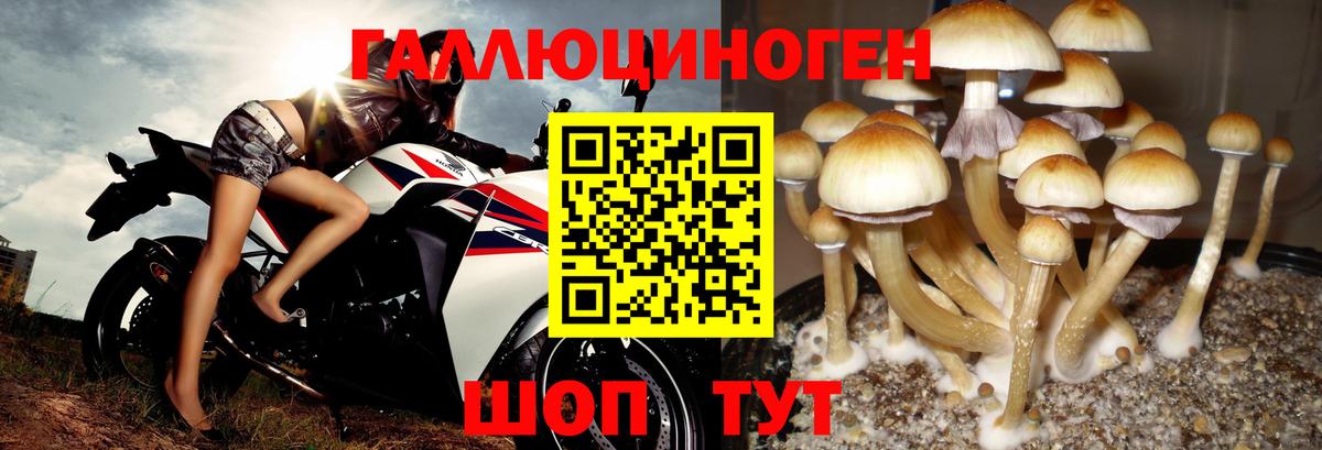 Псилоцибиновые грибы Cubensis  Вход с VPN  Галлюциногенные грибы Psilocybe  Обь 